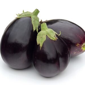 Aubergine Jackpot F1 Hybrid Seeds