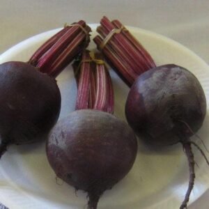 Beetroot Red Ace F1 Hybrid Seeds
