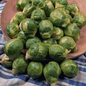 Brussels Sprout Seven Hills Seeds