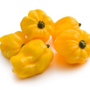 Chilli Pepper Habanero Lemon Seeds