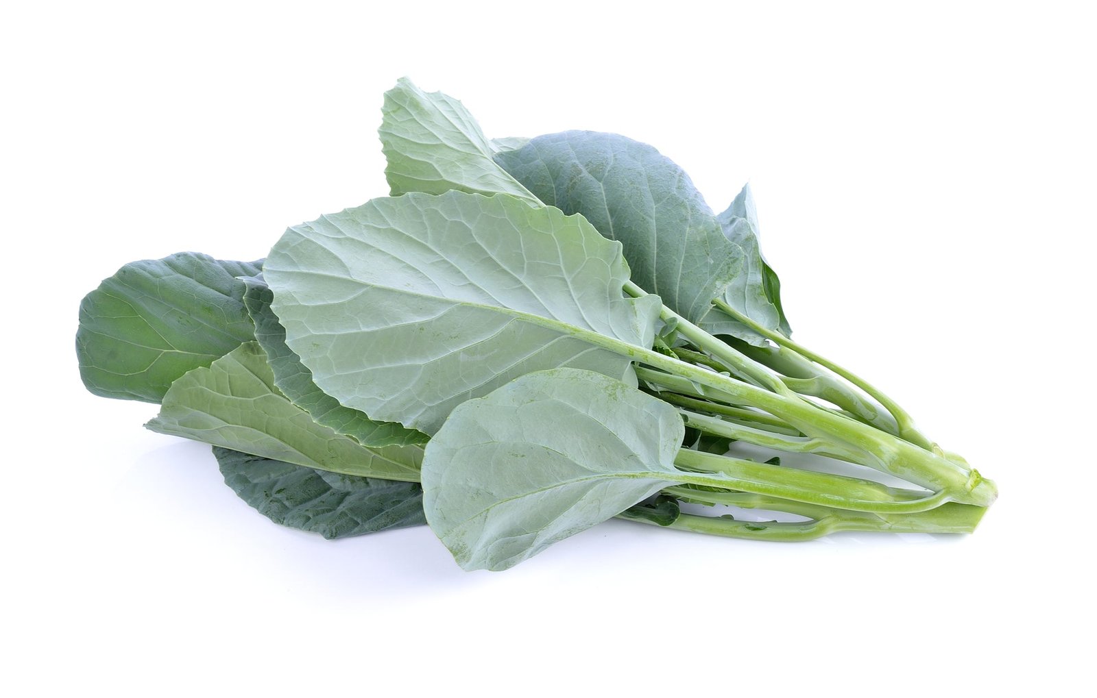 Chinese Broccoli Kailan Kich Seeds