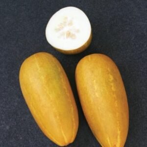 Cucumber Asian Brocade Seeds