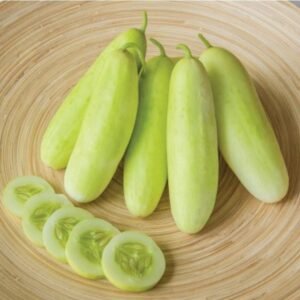 Cucumber Honey Plus F1 Seeds