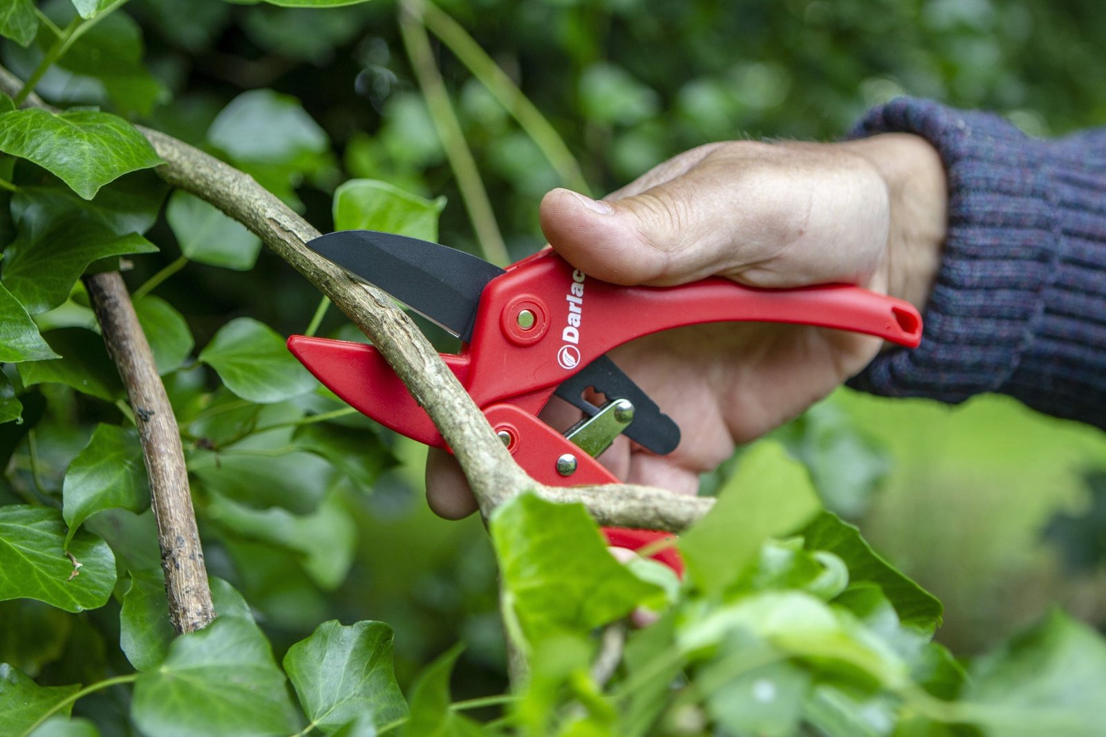 Darlac DP174 Standard Ratchet Pruner UK SHIPPING ONLY