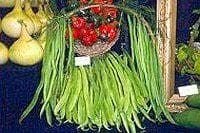 Exhibition Vegetable Robinsons Runner Bean Liberty 10 Seeds