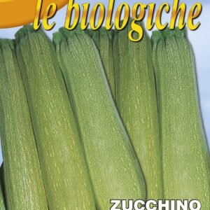 Franchi Organic BIOB146/10 Courgette Genovese Seeds