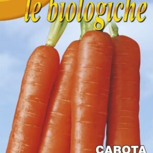 Franchi Organic BIOB23/7 Carrot Nantes Seeds