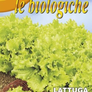 Franchi Organic BIOB78/1 Lettuce Bionda Ricciolina Seeds