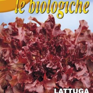 Franchi Organic BIOB78/25 Lettuce Red Salad Bowl Seeds