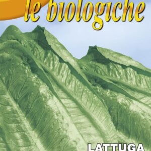 Franchi Organic BIOB84/4 Lettuce Romaine Bionda Seeds