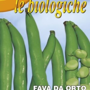 Franchi Organic BIOL61/10 Broad Bean Aguadulce Supersimonia Seeds