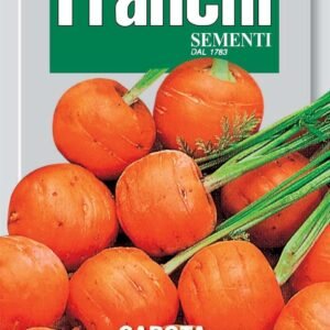 Franchi Seeds of Italy Carrot Paris Market 4 - Seeds