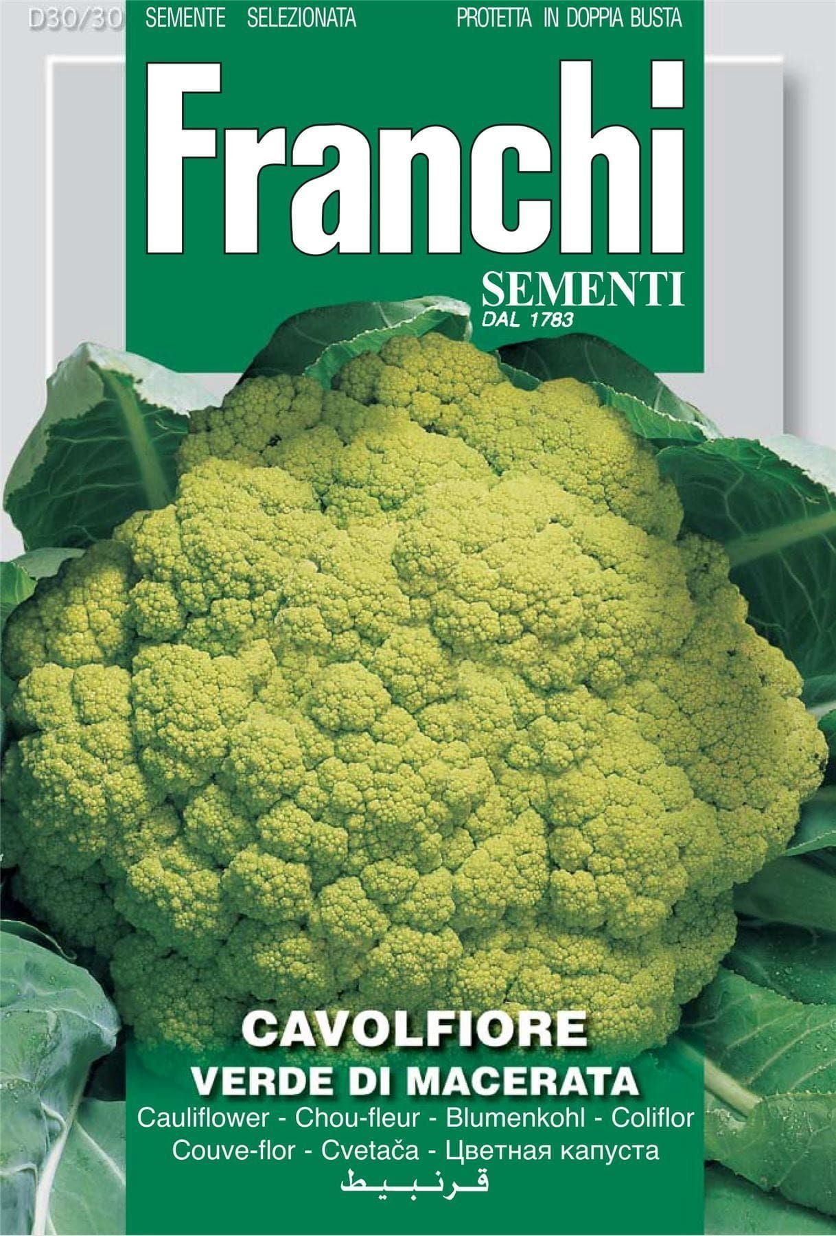 Franchi Seeds of Italy Cauliflower Verde Di Macerata Seeds