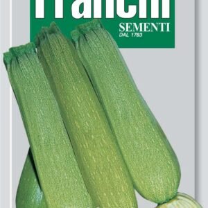 Franchi Seeds of Italy Courgette Genovese Seeds
