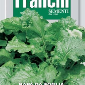 Franchi Seeds of Italy - DBO 110/10 - Turnip - Da Foglia Senza Testa - Seeds