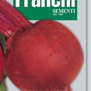 Franchi Seeds of Italy - DBO 11/10 - Beetroot - Detroit 2 - Seeds