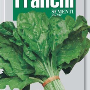 Franchi Seeds of Italy - DBO 14/1 - Swiss Chard - Verde Da Taglio - Seeds