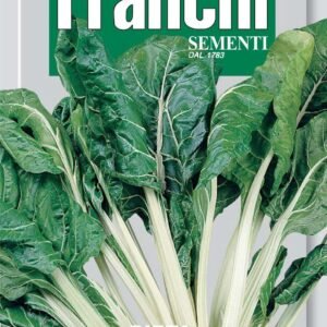 Franchi Seeds of Italy - DBO 14/16 - Swiss Chard - Verde a Costina Bianca - Seeds *