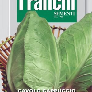 Franchi Seeds of Italy - DBO 26/3 - White Cabbage - Cuor Di Bue Grosso - Seeds