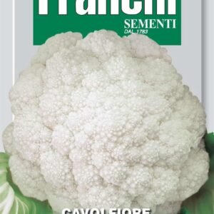 Franchi Seeds of Italy - DBO 30/15 - Cauliflower - Di Jesi - Seeds