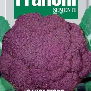 Franchi Seeds of Italy - DBO 30/29 - Cauliflower - Di Sicilia Violetto - Seeds
