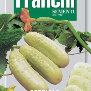 Franchi Seeds of Italy - DBO 37/32 - Cucumber - White Wonder - Seeds