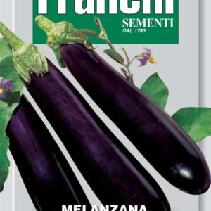 Franchi Seeds of Italy Egg Plant Aubergine Violetta Lunga 2 - Seeds