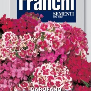Franchi Seeds of Italy - Flower - FDBF_ 325-7 - Carnation - Garofano Poeti Semplice Mix - Seeds