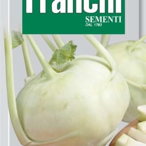 Franchi Seeds of Italy Kohlrabi Di Vienna Bianco Seeds