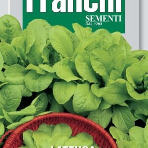 Franchi Seeds of Italy Lettuce Bionda A Foglia Liscia Seeds