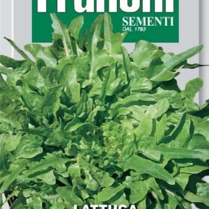 Franchi Seeds of Italy Lettuce Lingua Di Canarino Seeds