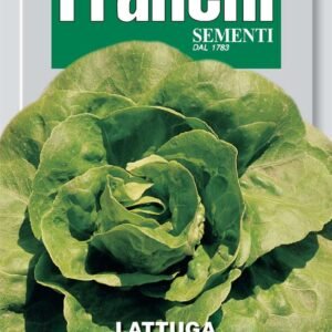 Franchi Seeds of Italy Lettuce Parella Seeds