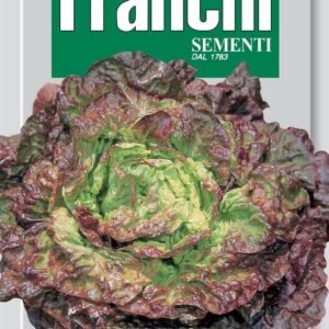Franchi Seeds of Italy Lettuce Quattro Stagioni Seeds