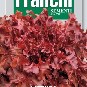 Franchi Seeds of Italy Lettuce Red Salad Bowl Seeds