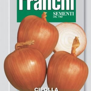 Franchi Seeds of Italy Onion Ramata Di Milano Seeds