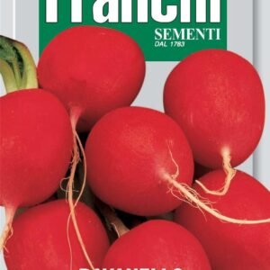 Franchi Seeds of Italy Radish Burro Gigante Seeds