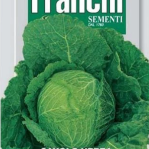 Franchi Seeds of Italy Savoy Cabbage Pasqualino Seeds