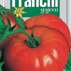 Franchi Seeds of Italy Tomato Marmande Seeds