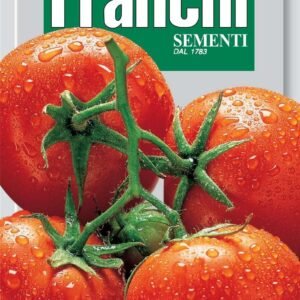 Franchi Seeds of Italy Tomato Saint Pierre Seeds