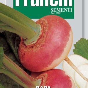 Franchi Seeds of Italy Turnip Di Milano A Colletto Viola Seeds