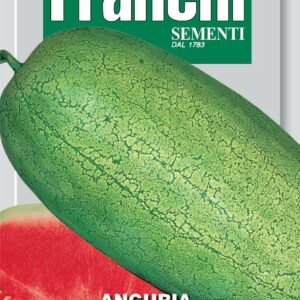 Franchi Seeds of Italy Watermelon Charleston Gray Seeds