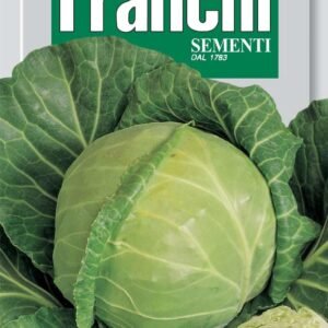 Franchi Seeds of Italy White Cabbage Langedijker Dauer Seeds