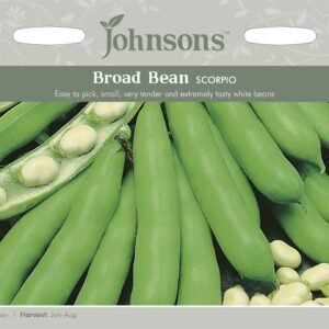 Johnsons Broad Bean Scorpio 50 Seeds