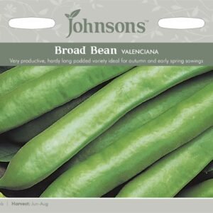 Johnsons Broad Bean Valenciana 45 Seeds