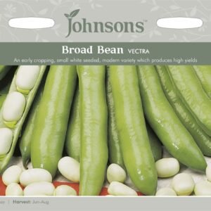 Johnsons Broad Bean Vectra 45 Seeds