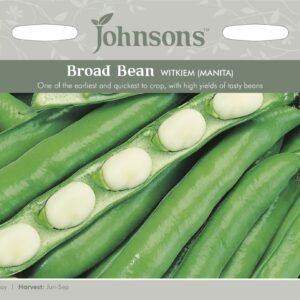 Johnsons Broad Bean Witkiem Manita 45 Seeds