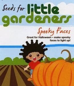 Johnsons Little Gardeners Spooky Face Pumpkins 10 Seeds