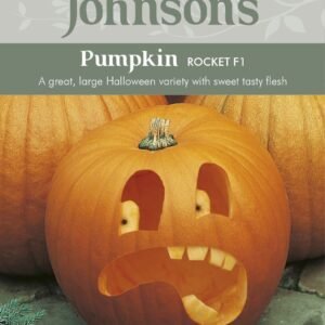 Johnsons Pumpkin Rocket F1 10 Seeds