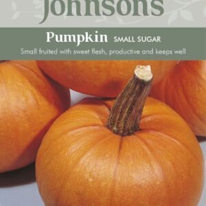 Johnsons Pumpkin Small Sugar 25 Seeds