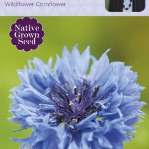 Johnsons Sarah Raven's Wildflower Cornflower 150 Seeds